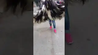 Кукери 2019