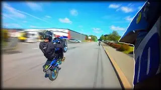 Show Off