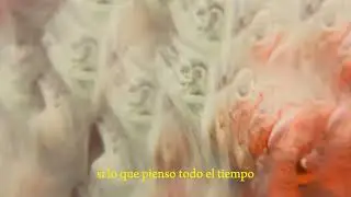 Tigre Ulli - Malos Sentimientos (video lyric)