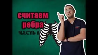 Как считать ребра на рентгенограмме? | Рентгенология