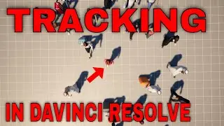 Davinci Resolve, il Tracking