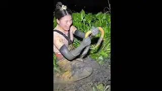 夜里到野外去捉鳝鱼