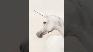 Unicorn tribute Thnks fr Th mmrs