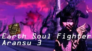 Blade & Soul Earth Soul Fighter Parse w/ Aransu