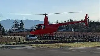 The amazing sounds of a Robinson R44 helicopter approach and hover