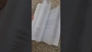 Healing Your Map • Book Flip-Through