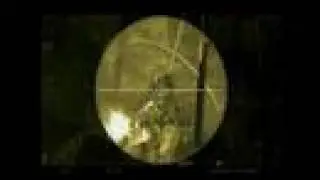 Crysis Core-X Video