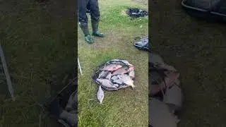 Рыбалка на фидер в октябре. Улов чемпиона. Сколько леща можно поймать осенью?