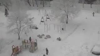 Наш белоснежный двор