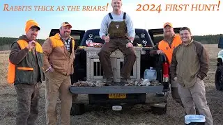 First Rabbit Hunt With Beagles of 2023-24 Season! It's a start!