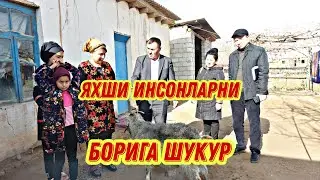 Сурхондарё Ангор зартепа мф райиси. Бокувчиси йук  инсоллардан хабар оляптилар
