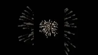 С новым годом !!! #новый #год #2024