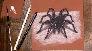 Pencil color spider - Virtual McArt