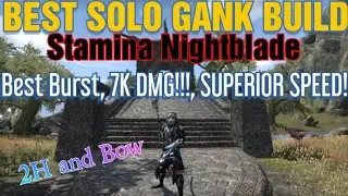 ESO [Stonethorn/Markarth] Stamina Nightblade PvP Build, Bauldurr's Might