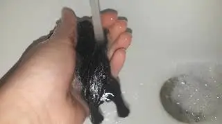 купание сквиши собаки