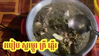 របៀប ស្ល ម្ជួរ ត្រីឆ្អើ