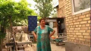 amyderya04