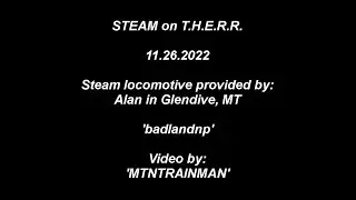 steam on THERR