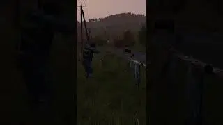 1 in a MILLION Spray in DayZ 