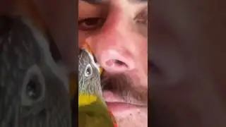 Это могли быть мы с тобой, но ты мне даже не пишешь