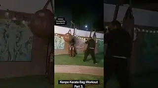 100 Pound Wrecking Ball Bag Workout Part 181. Kenpo Karate Bag Workout Part 3.