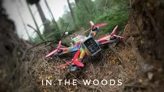 In The Woods // Racing & Banter