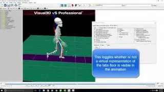 Visual3D View Options Demonstration