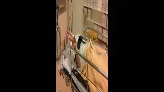 When Neck Breaks Meme