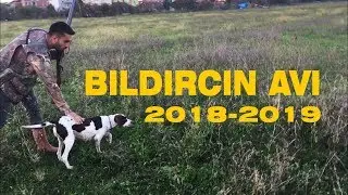 Bıldırcın Avı 2018-2019  Samsun-Çarşamba