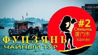 [Чайное дерево] Фуцзянь Китай.  Сямынь 安溪县  #2