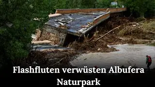 Environmental damage caused by flash floods: plastic waste and destruction in the Albufera Natura...
