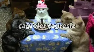çareler çaresiz (speed up)