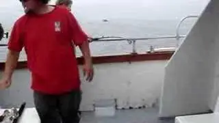 Wags and his first LING COD