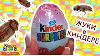 ЖУКИ В КИНДЕР СЮРПРИЗАХ !!! Киндер Сюрпризы разных лет МАША И МЕДВЕДЬ, Барби, Суперкрошки
