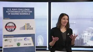 U.S Navy Challenge: Autonomous Detection of Marine Mammals