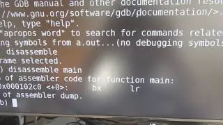 Disassembling ARM vs x86 (on Raspberry Pi)