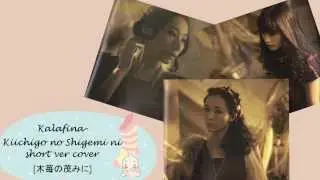 Kalafina-Kiichigo no Shigemi ni [short ver cover]