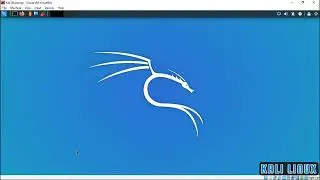 Kali Linux - Information Gathering