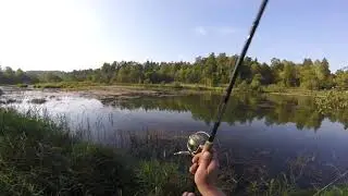 Осенняя прогулка со спиннингом (12 сентября 2019 г.)