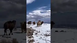 18 марта 2024 г.