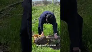 Еліміз Аман болсын !!!