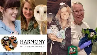 Harmony Wildlife – TN WildCast 340