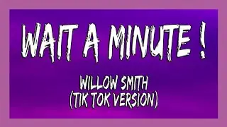 ✅ Willow - Wait A Minute! (Tiktok Remix)[Lyrics] I think I left my conscience on your front doorstep