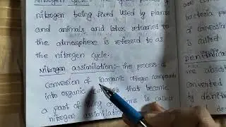 🍒Definition of Hybridization, Ammonification, Nitrification, Denitrification 🍒