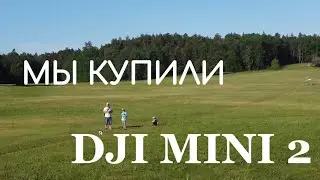 Мы купили дрон DJI MINI 2