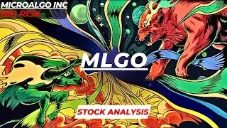 BIG RISK | $MLGO STOCK ANALYSIS | MICROALGO INC STOCK