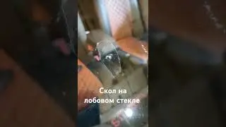 Первый скол на лобовом стекле. 