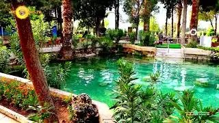Hierapolis Antik Havuzu Pamukkale Denizli 4K