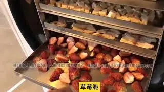 Welly Machinery Video of freeze dryer finished