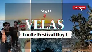 Velas Day-1 | Turtle🐢 Hatching | Camping🏕️ | #turtle #konkan #vlog19